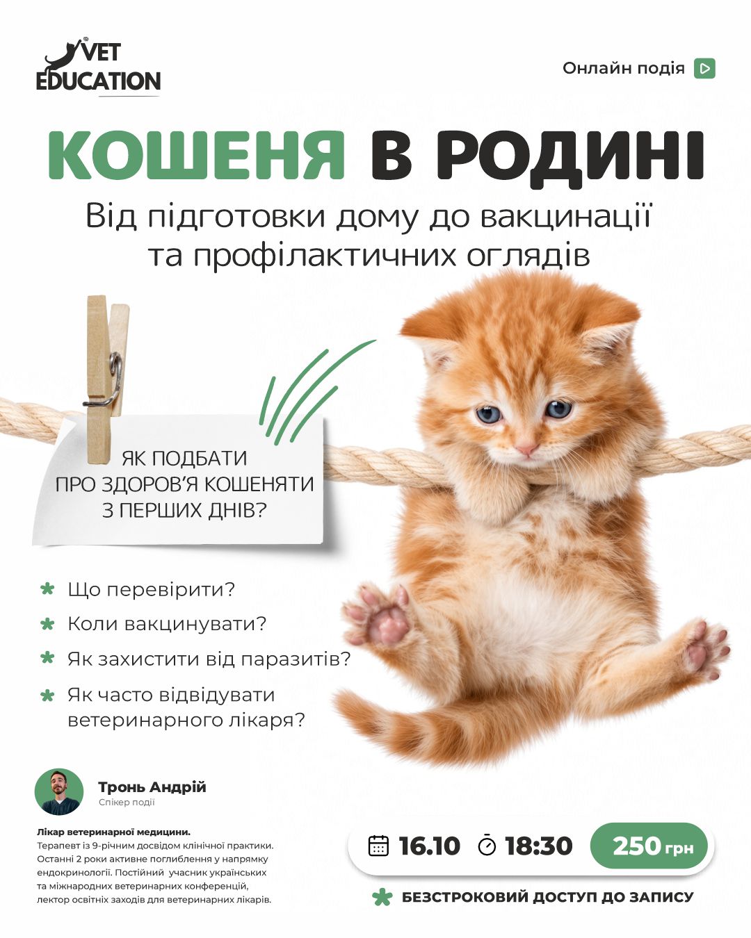 16.10 кошеня